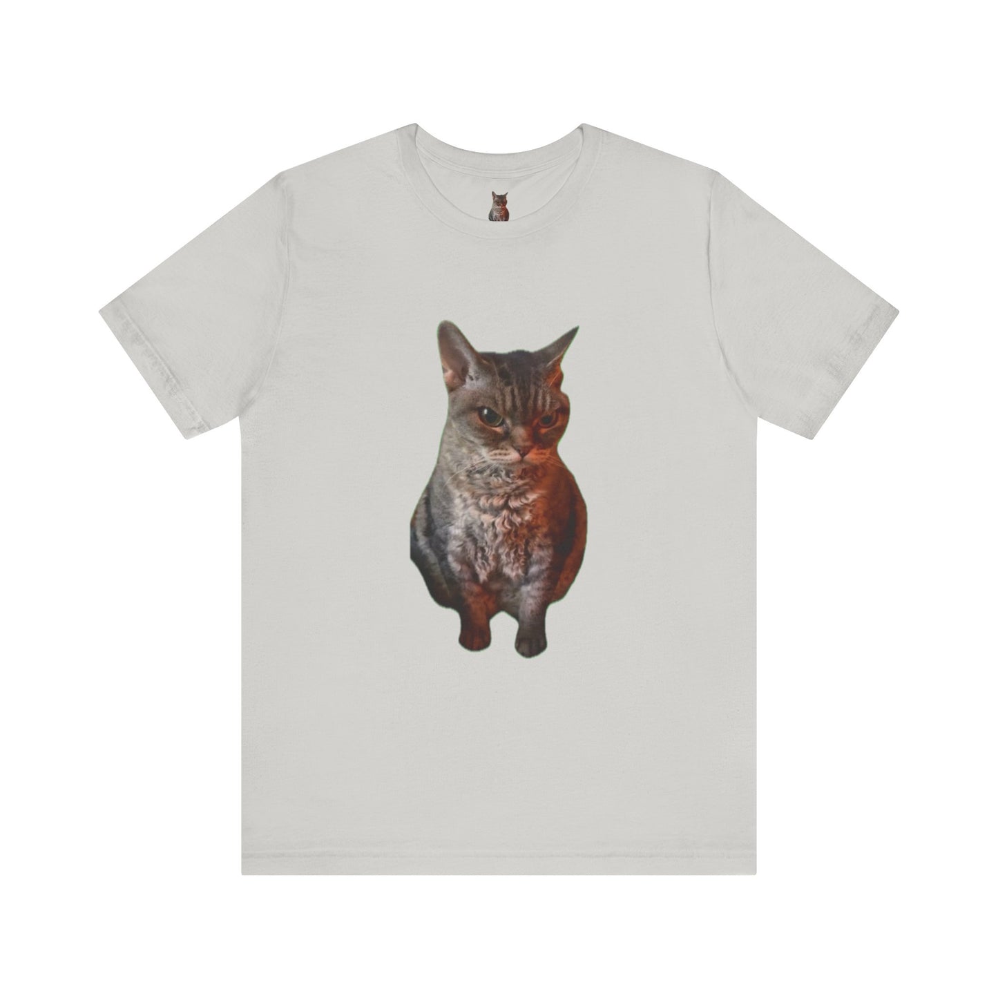 Cute Cat Graphic Tee, Cat Lover Gift, Pet Enthusiast Apparel, Animal Lover Shirt, Fun Casual Wear, Unique Cat Design T-Shirt