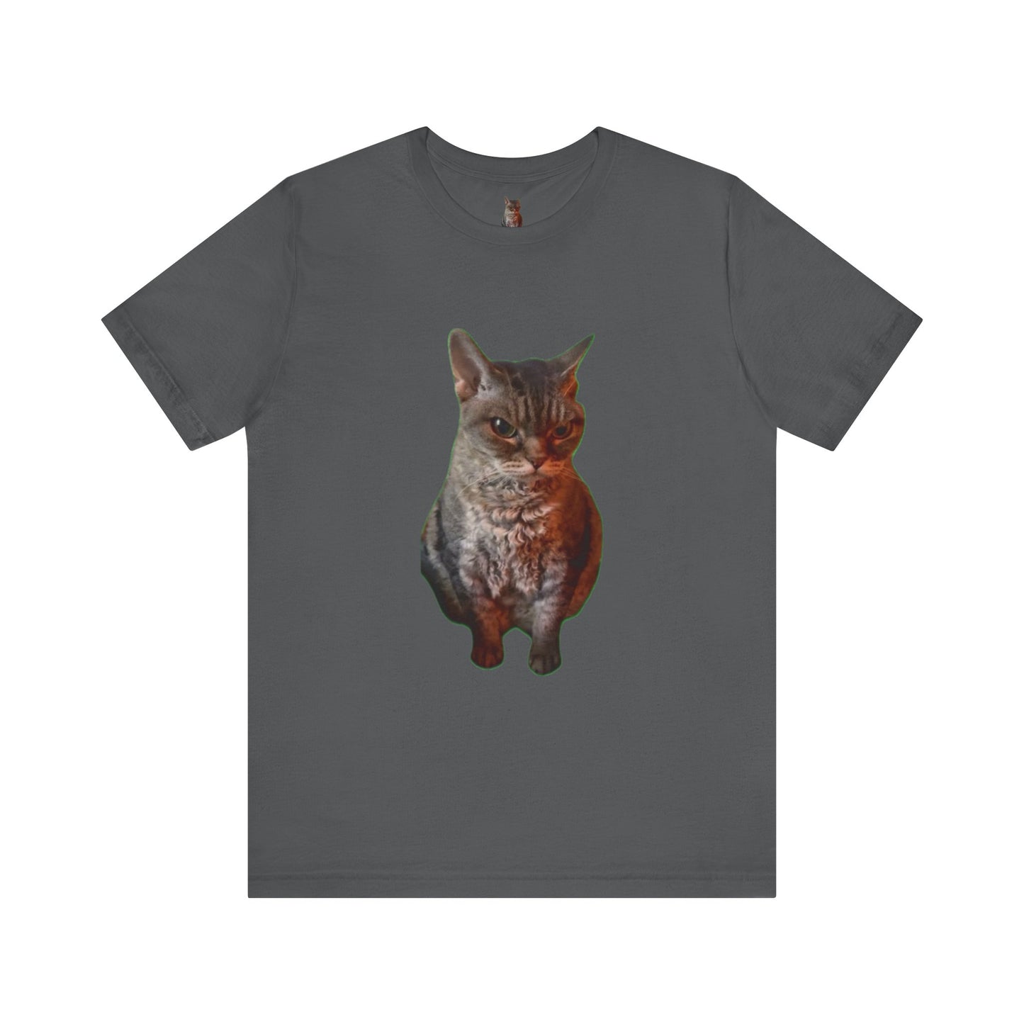 Cute Cat Graphic Tee, Cat Lover Gift, Pet Enthusiast Apparel, Animal Lover Shirt, Fun Casual Wear, Unique Cat Design T-Shirt