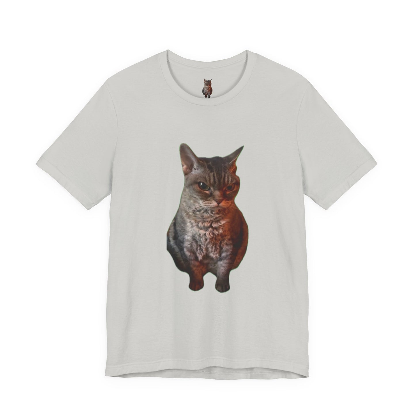 Cute Cat Graphic Tee, Cat Lover Gift, Pet Enthusiast Apparel, Animal Lover Shirt, Fun Casual Wear, Unique Cat Design T-Shirt