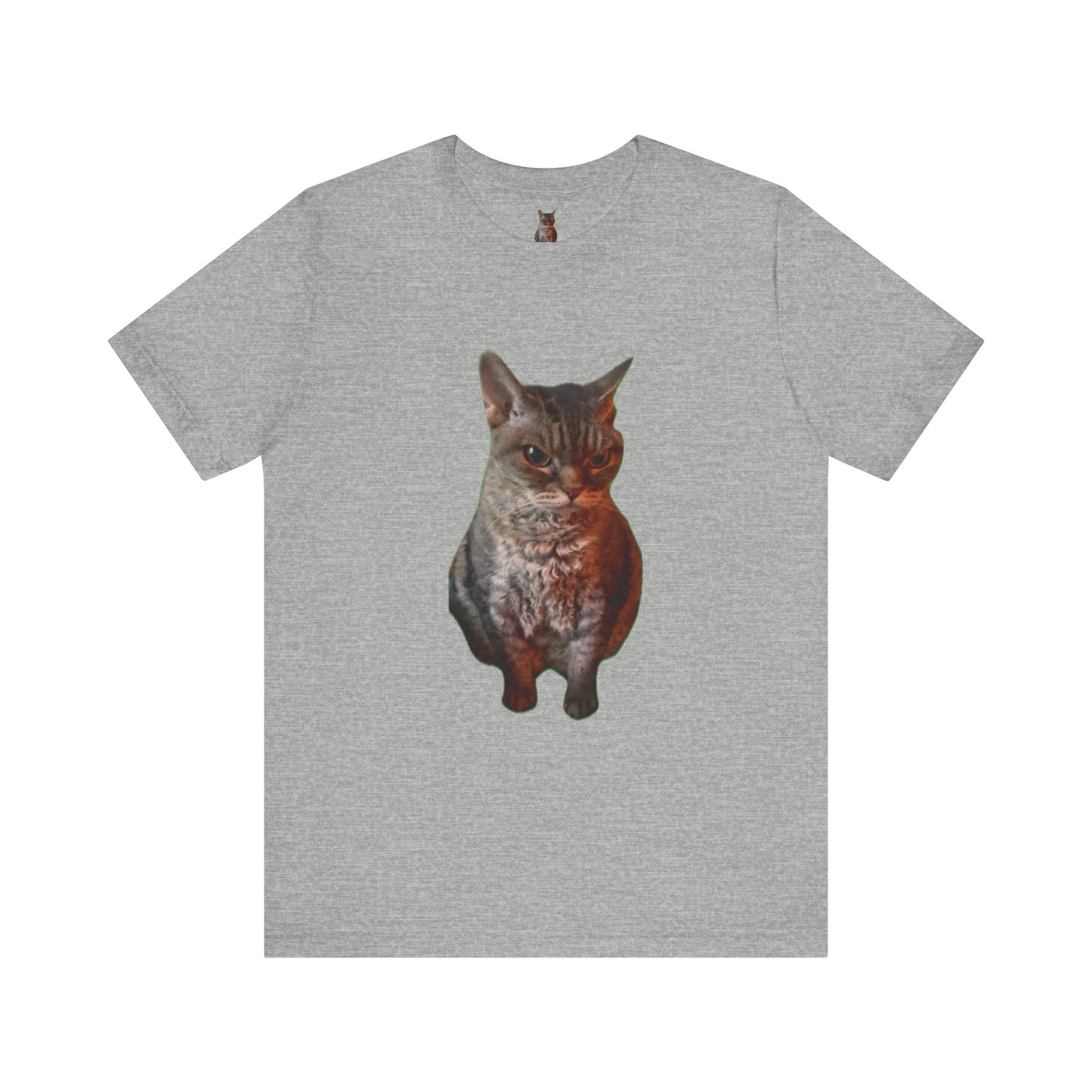 Cute Cat Graphic Tee, Cat Lover Gift, Pet Enthusiast Apparel, Animal Lover Shirt, Fun Casual Wear, Unique Cat Design T-Shirt