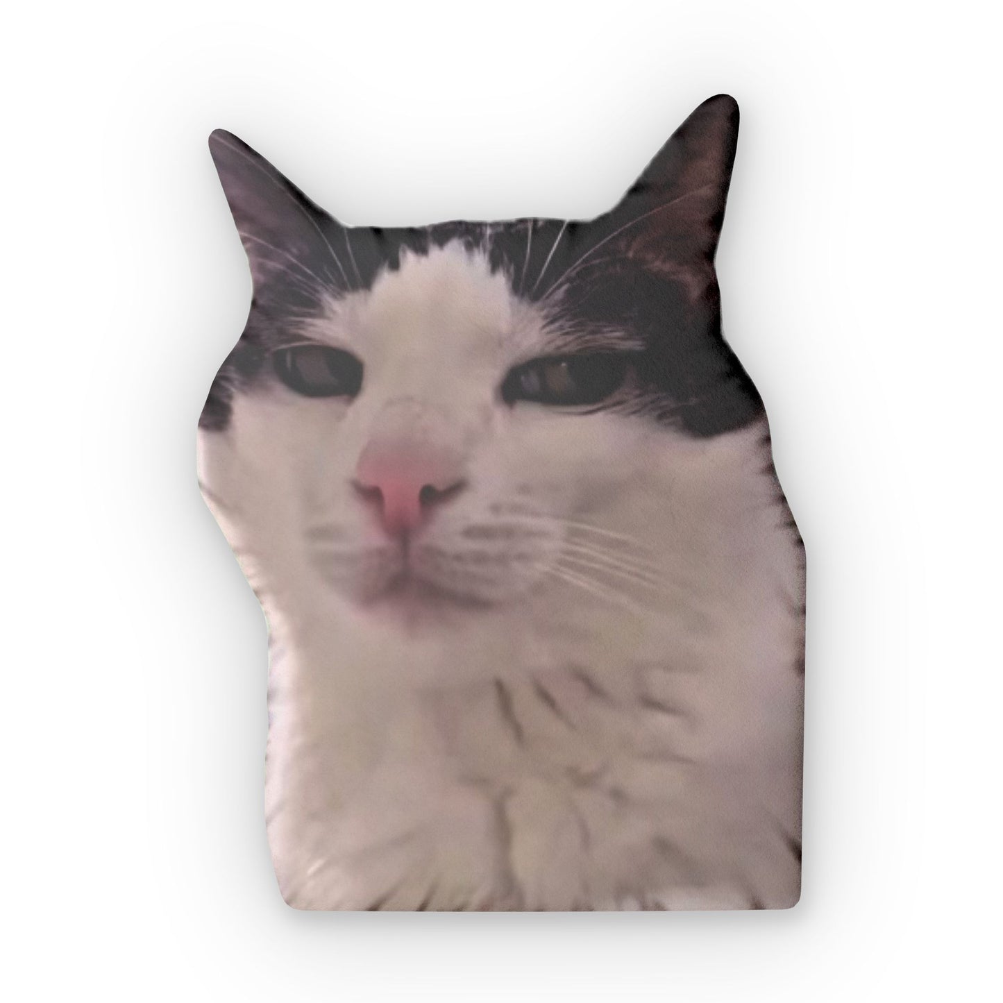 Custom Cat-Shaped Pillow, Personalized Cat Decor, Pet Lover Gift, Cozy Home Accessory, Unique Cat Cushion