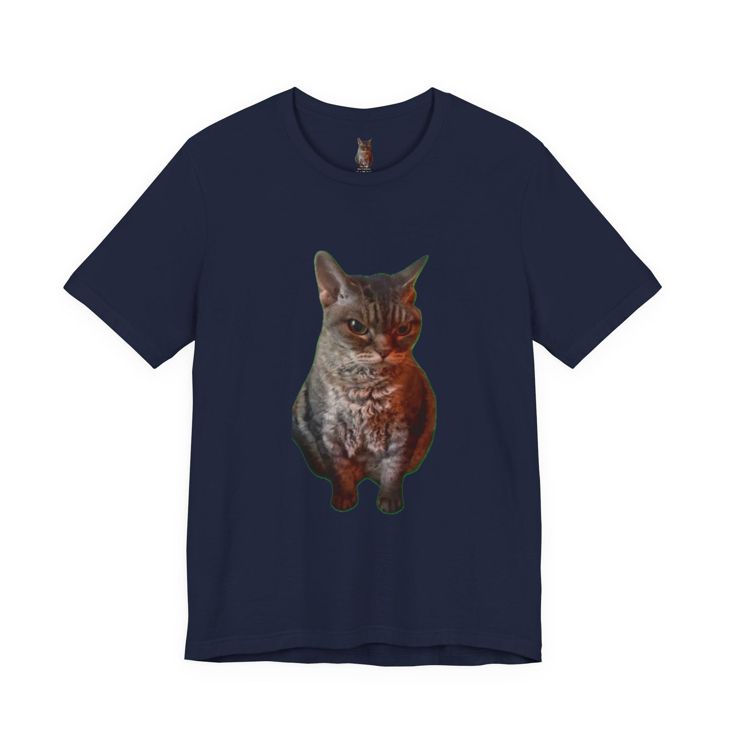 Cute Cat Graphic Tee, Cat Lover Gift, Pet Enthusiast Apparel, Animal Lover Shirt, Fun Casual Wear, Unique Cat Design T-Shirt