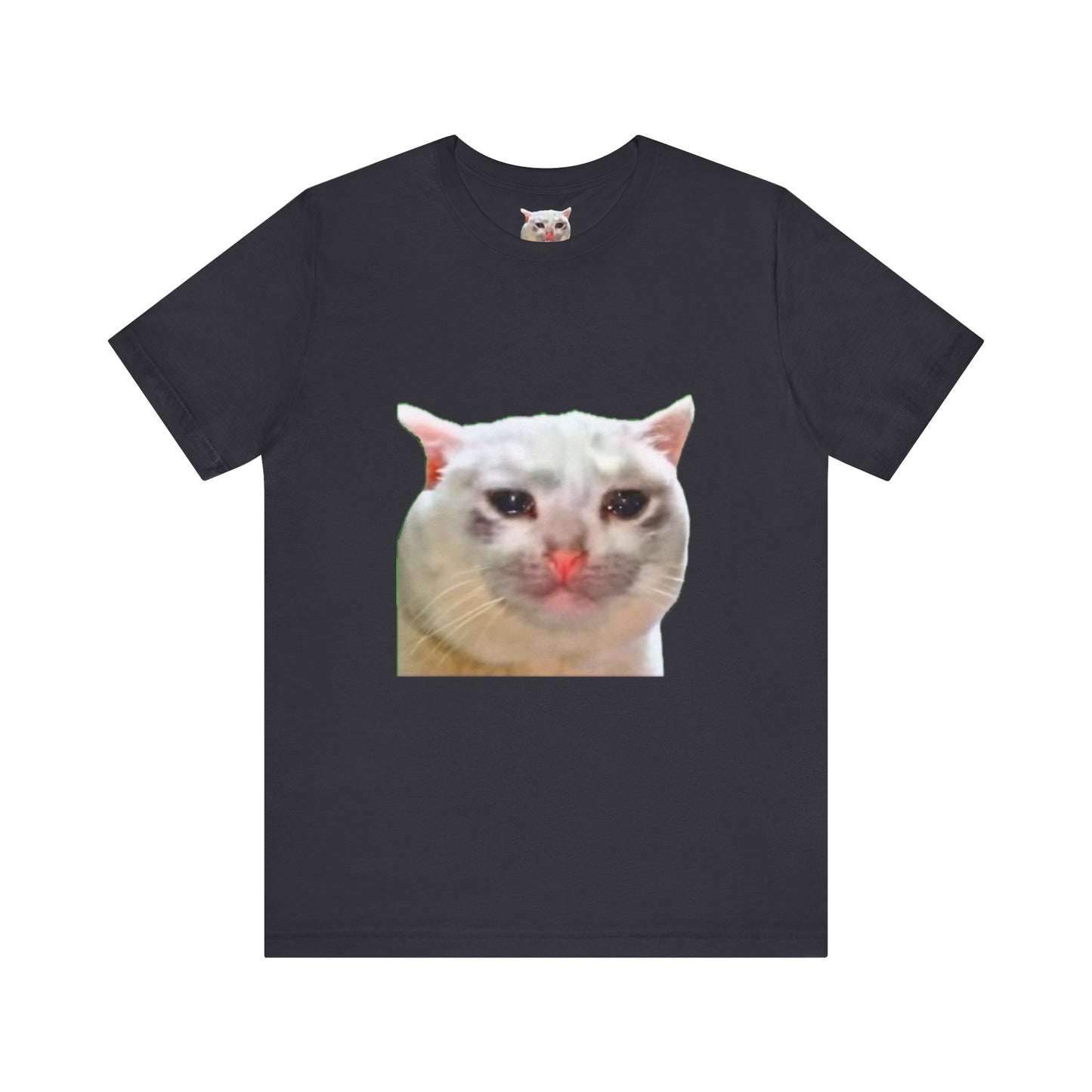 Cat Lover's Unisex Tee, Funny Cat Shirt, Gift for Cat Owners, Casual Wear, Pet Lover Apparel
