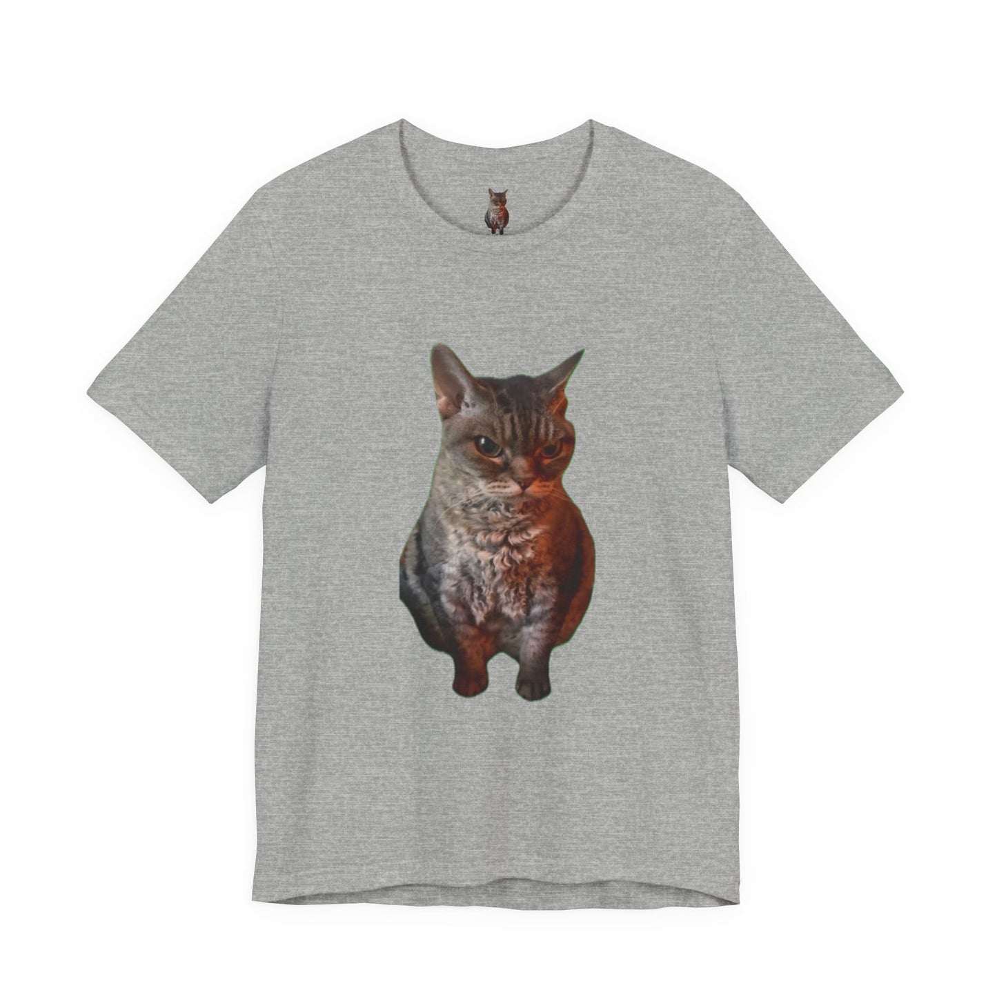 Cute Cat Graphic Tee, Cat Lover Gift, Pet Enthusiast Apparel, Animal Lover Shirt, Fun Casual Wear, Unique Cat Design T-Shirt