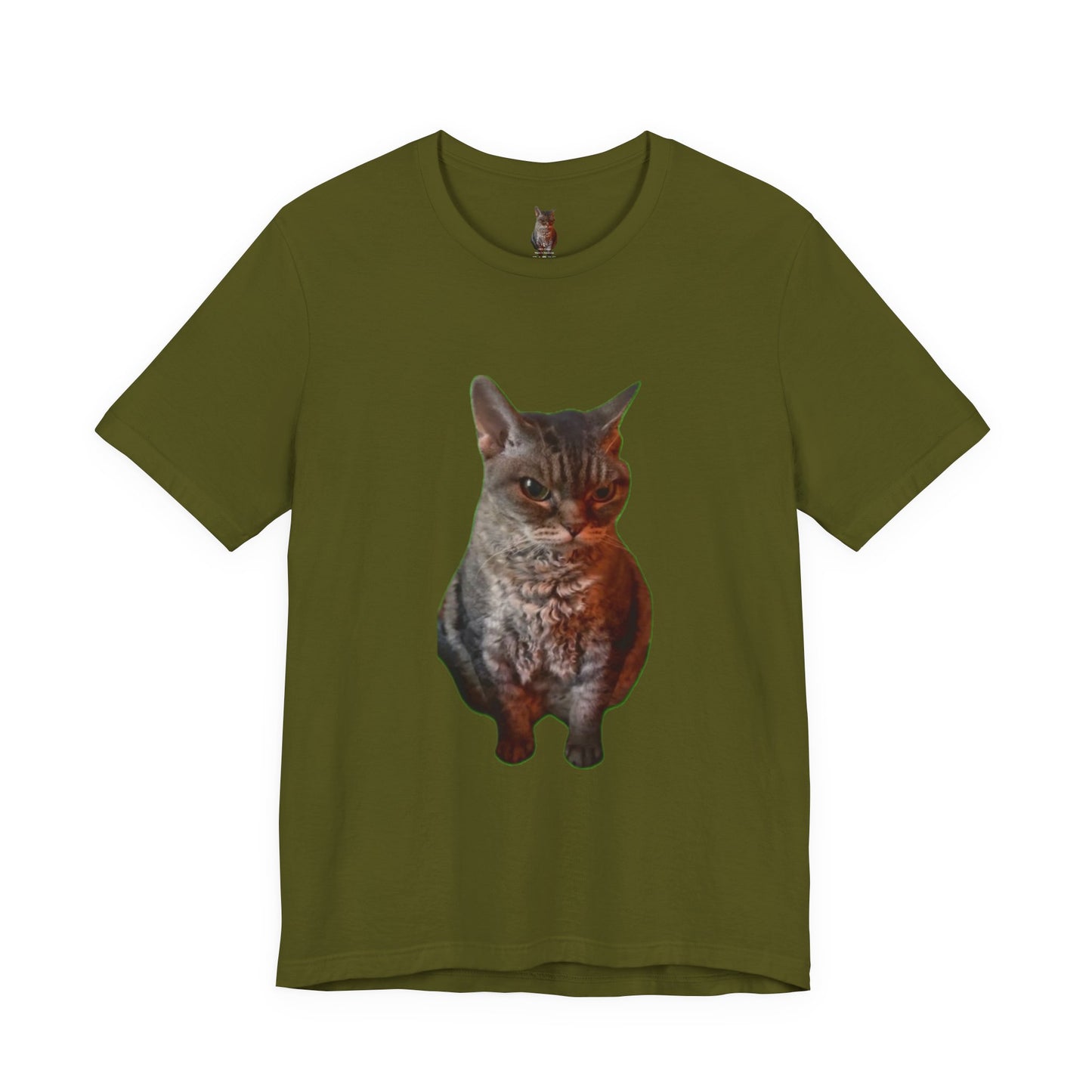 Cute Cat Graphic Tee, Cat Lover Gift, Pet Enthusiast Apparel, Animal Lover Shirt, Fun Casual Wear, Unique Cat Design T-Shirt