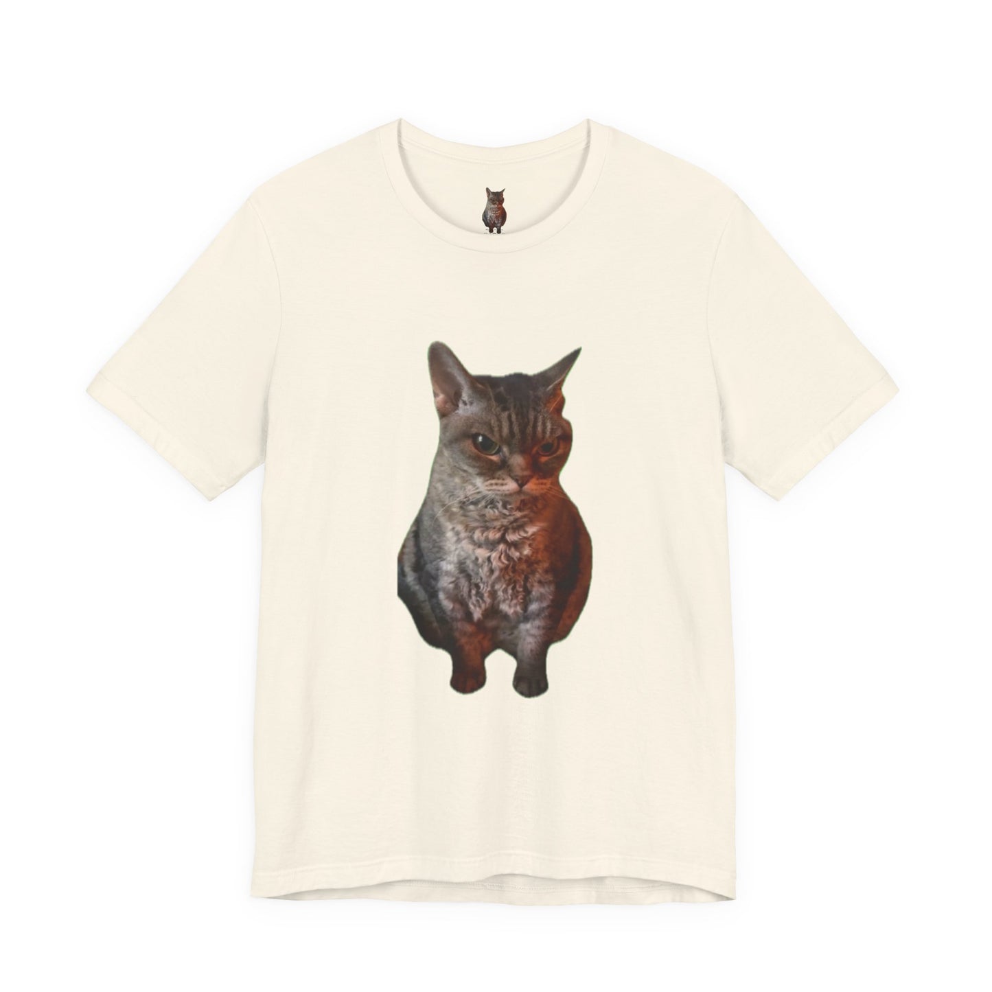Cute Cat Graphic Tee, Cat Lover Gift, Pet Enthusiast Apparel, Animal Lover Shirt, Fun Casual Wear, Unique Cat Design T-Shirt