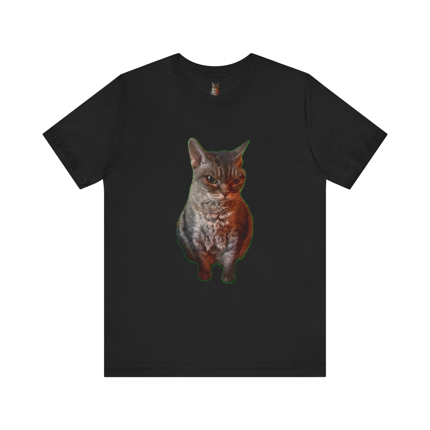 Cute Cat Graphic Tee, Cat Lover Gift, Pet Enthusiast Apparel, Animal Lover Shirt, Fun Casual Wear, Unique Cat Design T-Shirt