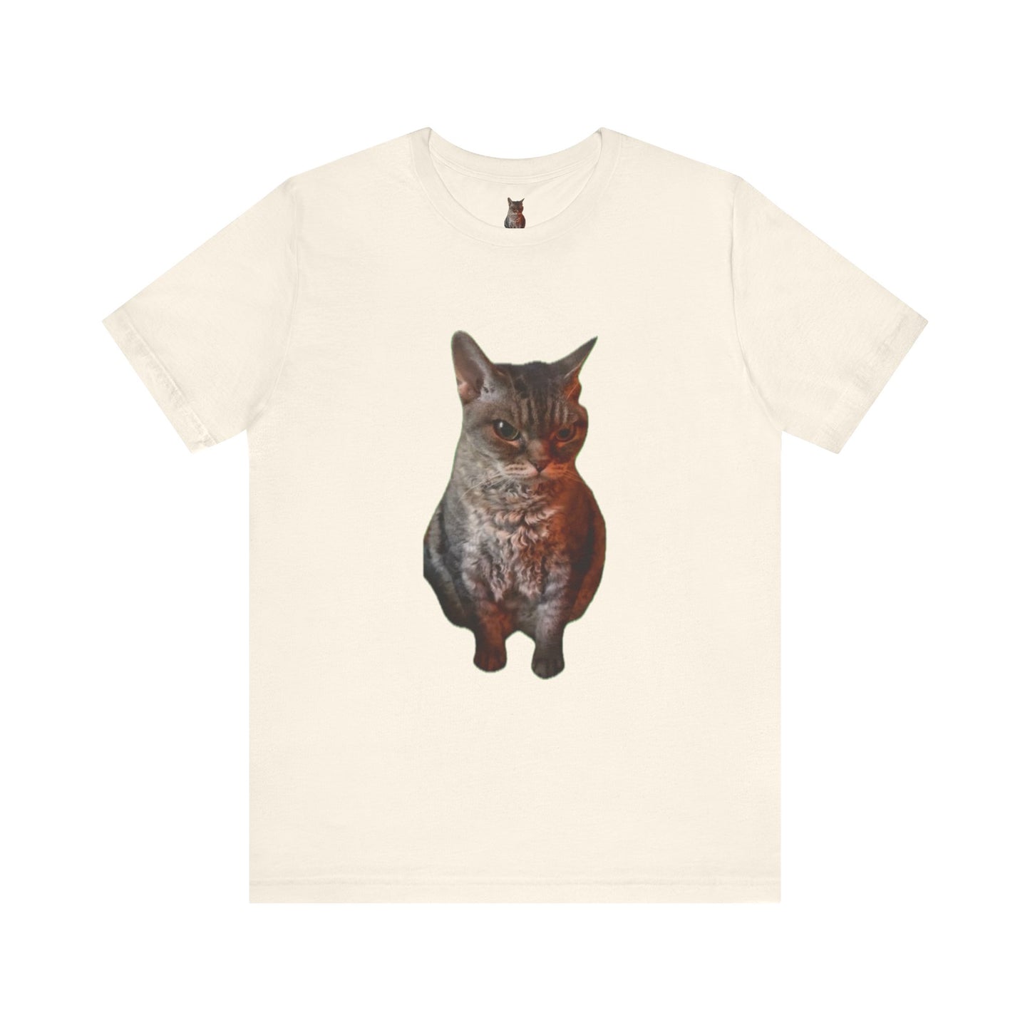 Cute Cat Graphic Tee, Cat Lover Gift, Pet Enthusiast Apparel, Animal Lover Shirt, Fun Casual Wear, Unique Cat Design T-Shirt