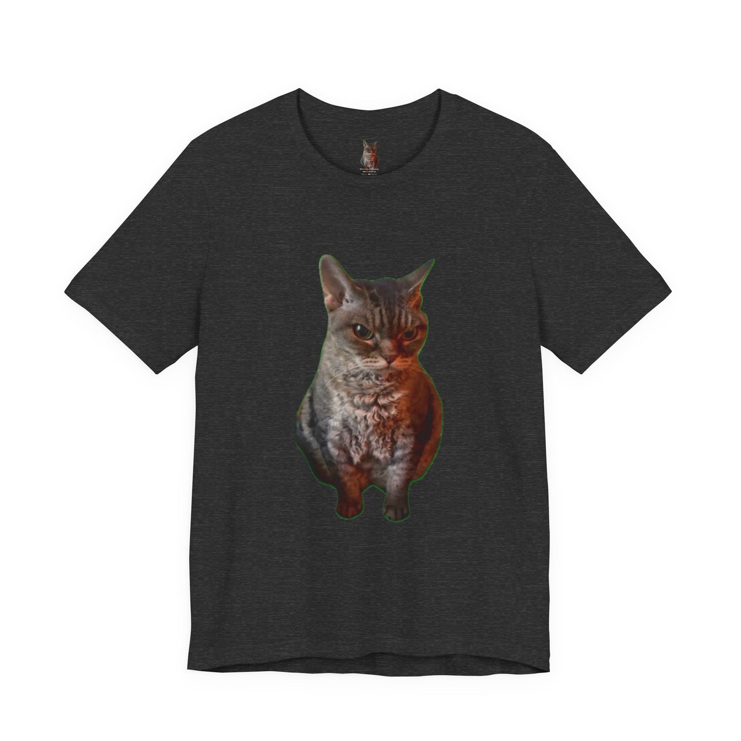 Cute Cat Graphic Tee, Cat Lover Gift, Pet Enthusiast Apparel, Animal Lover Shirt, Fun Casual Wear, Unique Cat Design T-Shirt
