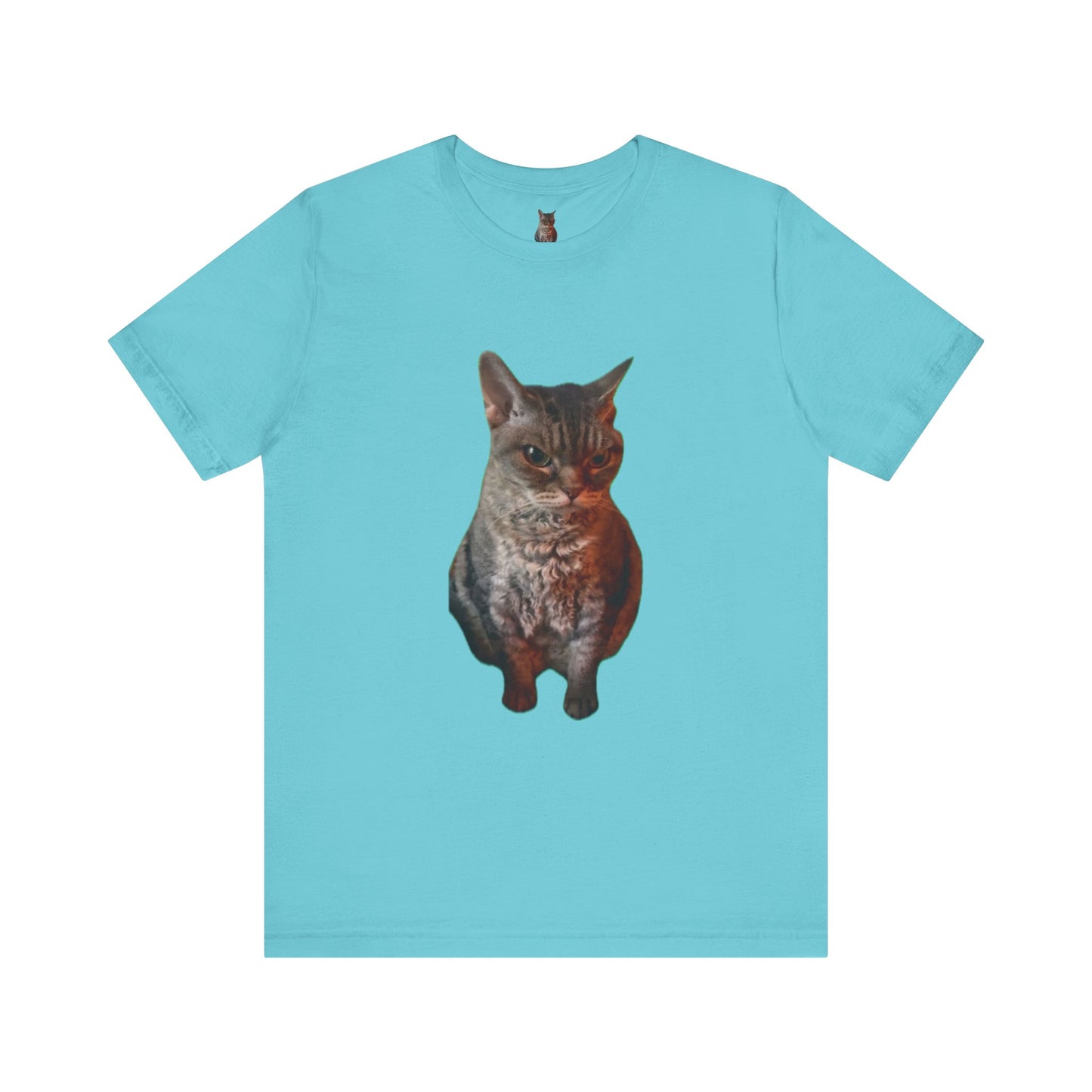 Cute Cat Graphic Tee, Cat Lover Gift, Pet Enthusiast Apparel, Animal Lover Shirt, Fun Casual Wear, Unique Cat Design T-Shirt