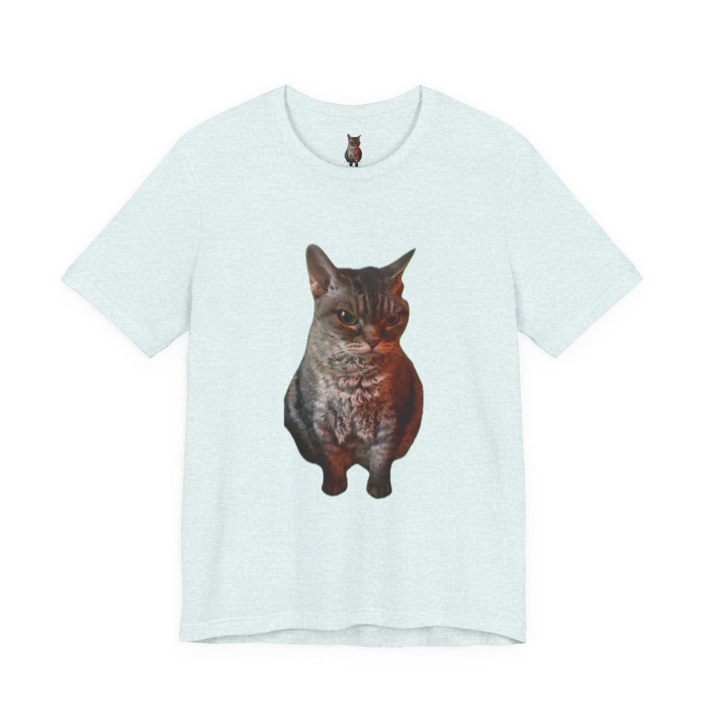 Cute Cat Graphic Tee, Cat Lover Gift, Pet Enthusiast Apparel, Animal Lover Shirt, Fun Casual Wear, Unique Cat Design T-Shirt