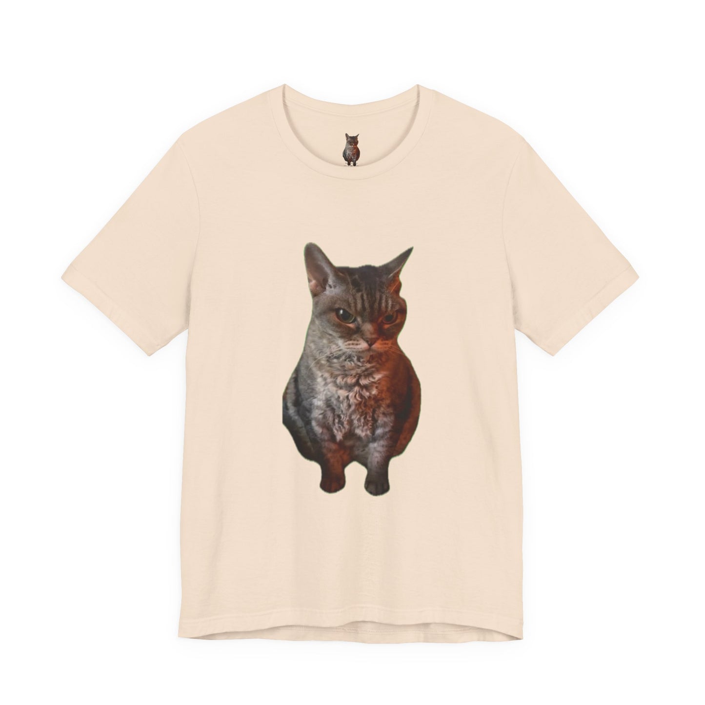 Cute Cat Graphic Tee, Cat Lover Gift, Pet Enthusiast Apparel, Animal Lover Shirt, Fun Casual Wear, Unique Cat Design T-Shirt