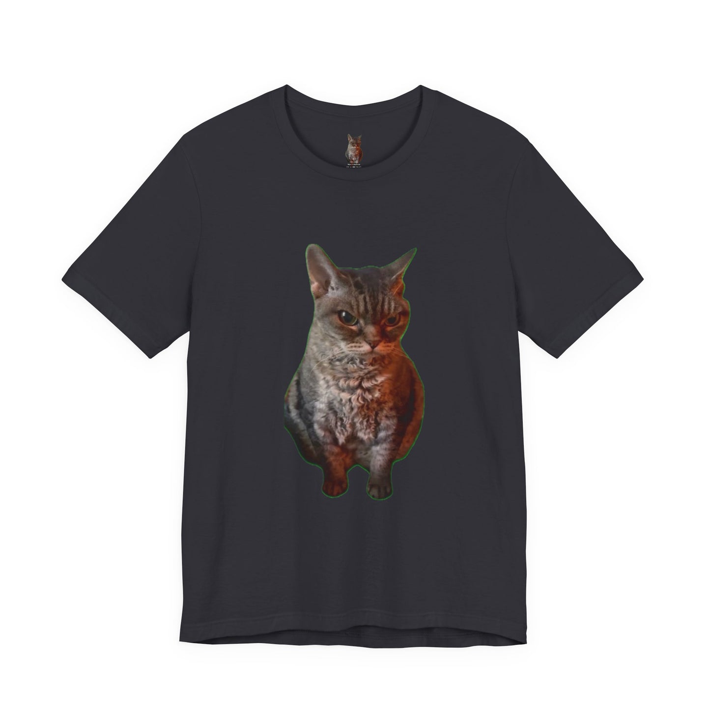 Cute Cat Graphic Tee, Cat Lover Gift, Pet Enthusiast Apparel, Animal Lover Shirt, Fun Casual Wear, Unique Cat Design T-Shirt
