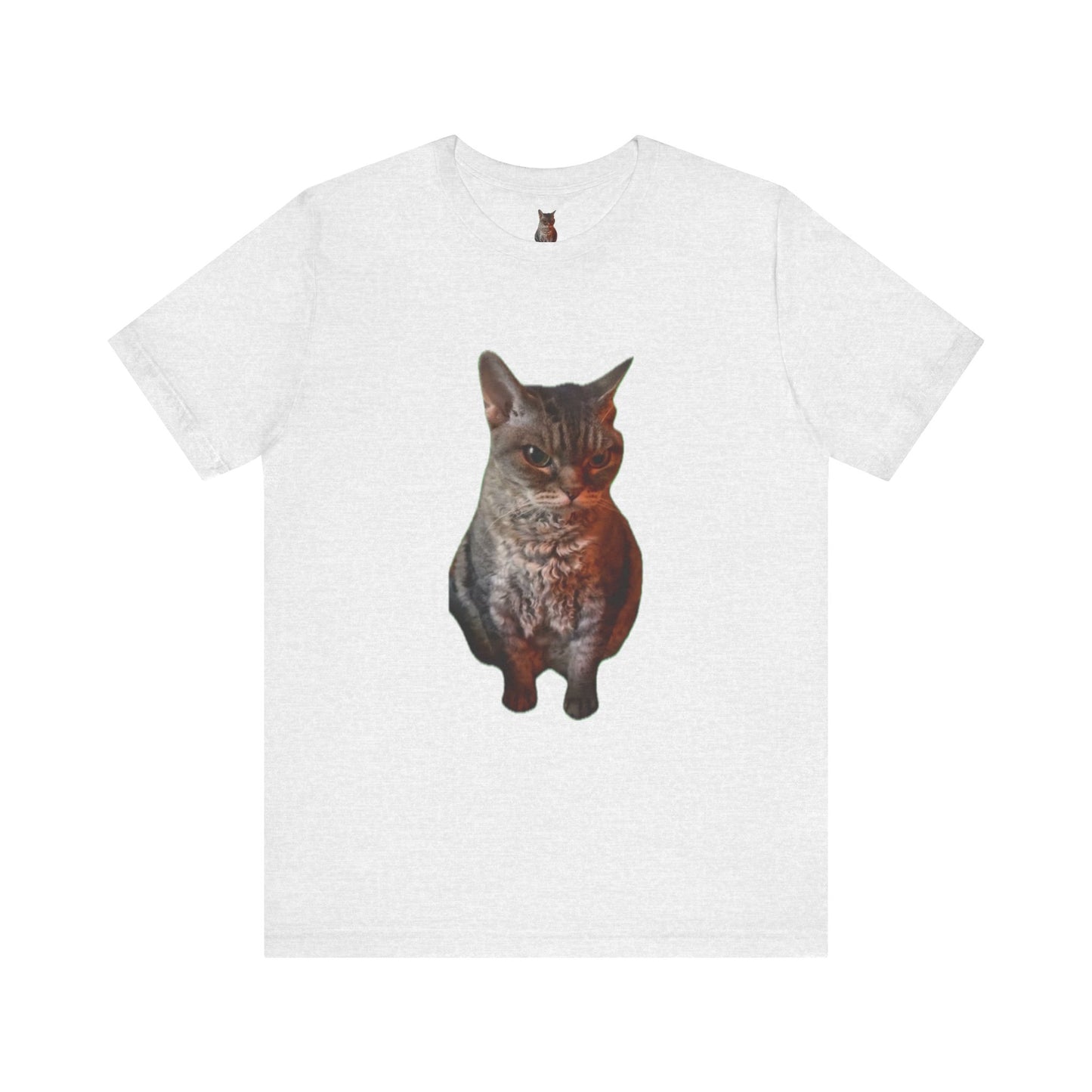 Cute Cat Graphic Tee, Cat Lover Gift, Pet Enthusiast Apparel, Animal Lover Shirt, Fun Casual Wear, Unique Cat Design T-Shirt