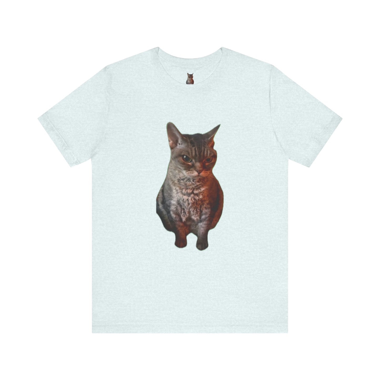 Cute Cat Graphic Tee, Cat Lover Gift, Pet Enthusiast Apparel, Animal Lover Shirt, Fun Casual Wear, Unique Cat Design T-Shirt