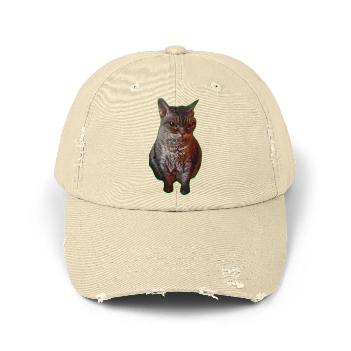 Distressed Cat Cap: Trendy Unisex Hat, Casual Wear, Gift for Cat Lovers, Unique Fashion Statement, Everyday Accessory