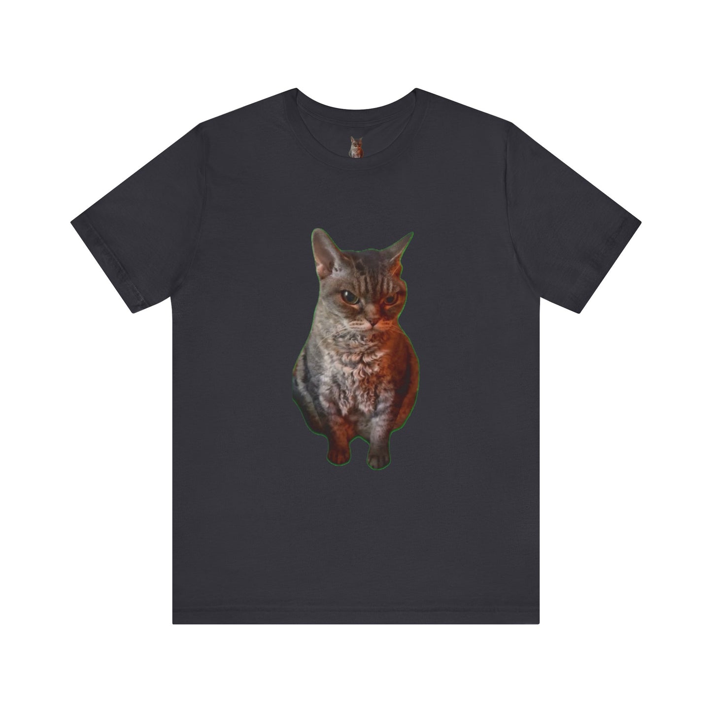 Cute Cat Graphic Tee, Cat Lover Gift, Pet Enthusiast Apparel, Animal Lover Shirt, Fun Casual Wear, Unique Cat Design T-Shirt