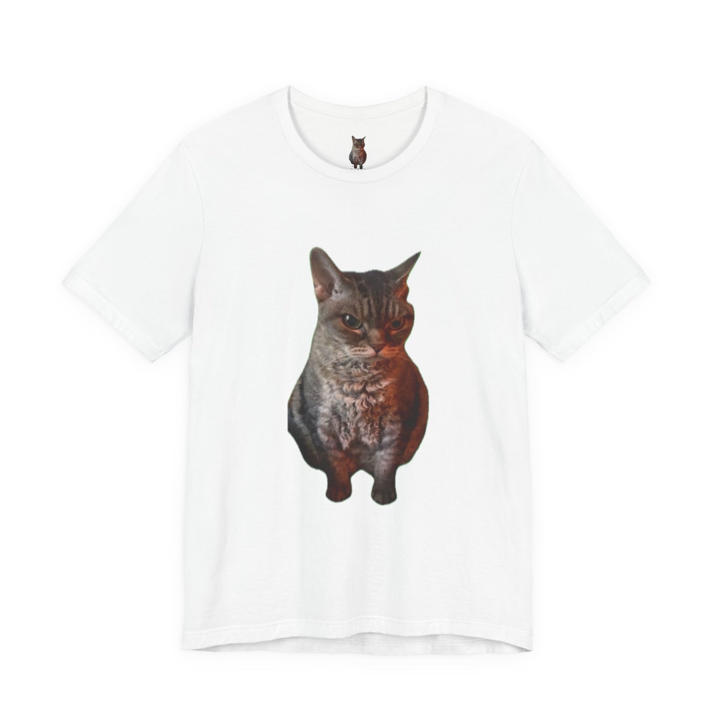 Cute Cat Graphic Tee, Cat Lover Gift, Pet Enthusiast Apparel, Animal Lover Shirt, Fun Casual Wear, Unique Cat Design T-Shirt