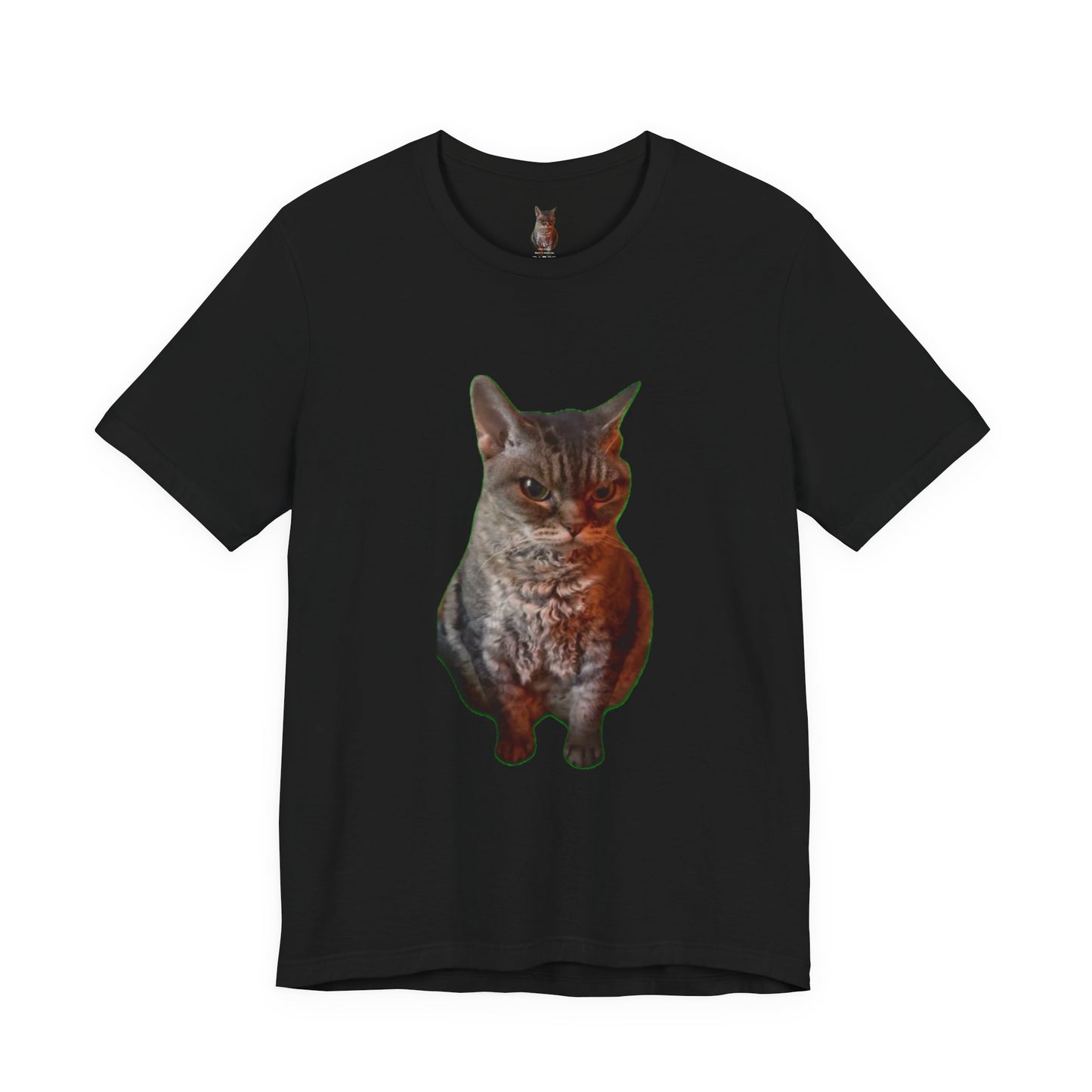 Cute Cat Graphic Tee, Cat Lover Gift, Pet Enthusiast Apparel, Animal Lover Shirt, Fun Casual Wear, Unique Cat Design T-Shirt